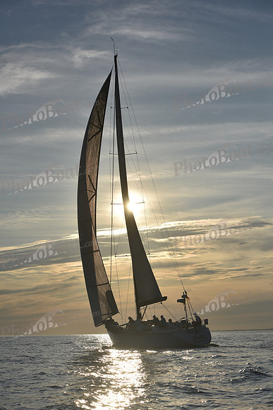 2019 Vineyard Race B_0448