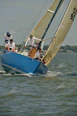 2016 Southern Bay Race Week F_0956