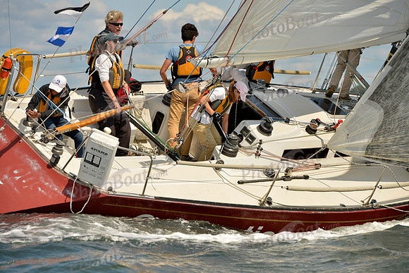 2017 Stamford Denmark Race_0787