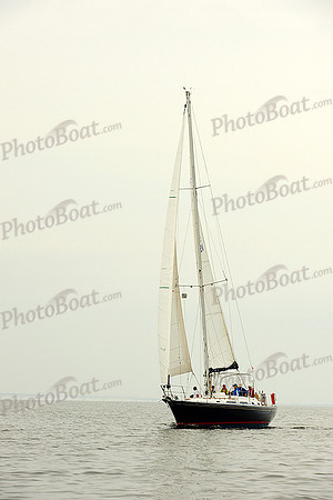 2014 Gov Cup A 989