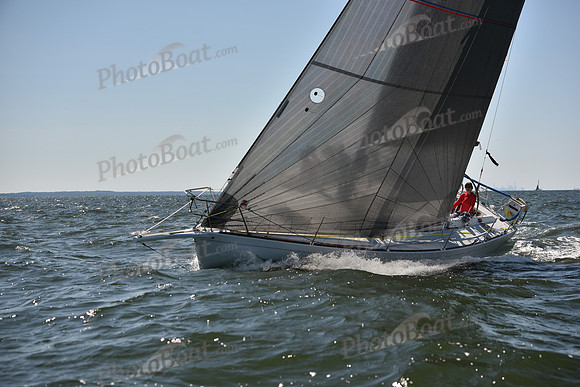 2023 Vineyard Race A_0996