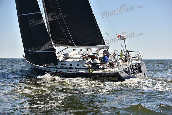 2023 Vineyard Race A_1767