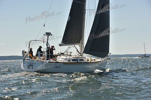 2023 Vineyard Race A_0056