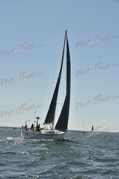 2023 Vineyard Race A_0060