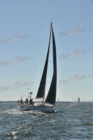 2023 Vineyard Race A_0059