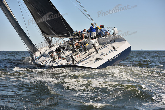 2023 Vineyard Race A_1703