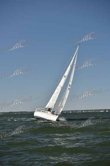 2023 Vineyard Race A_0551