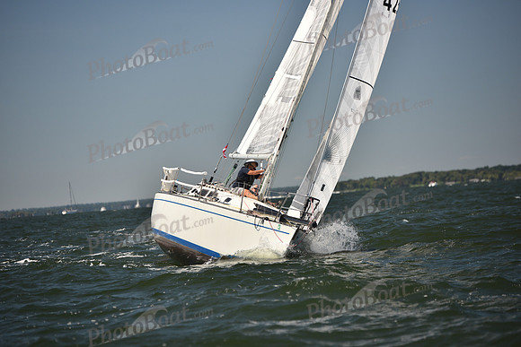 2023 Vineyard Race A_0554