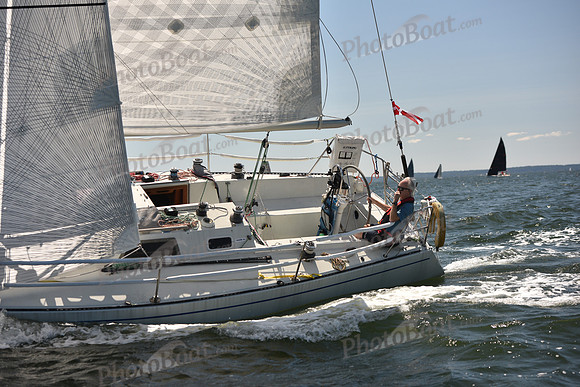 2023 Vineyard Race A_0564