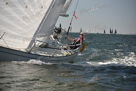2023 Vineyard Race A_0561