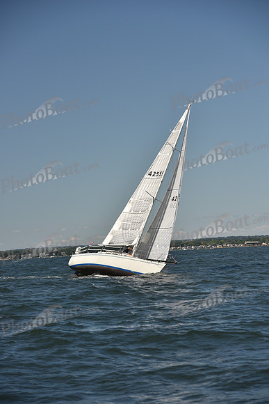 2023 Vineyard Race A_0549