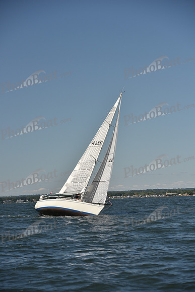 2023 Vineyard Race A_0548