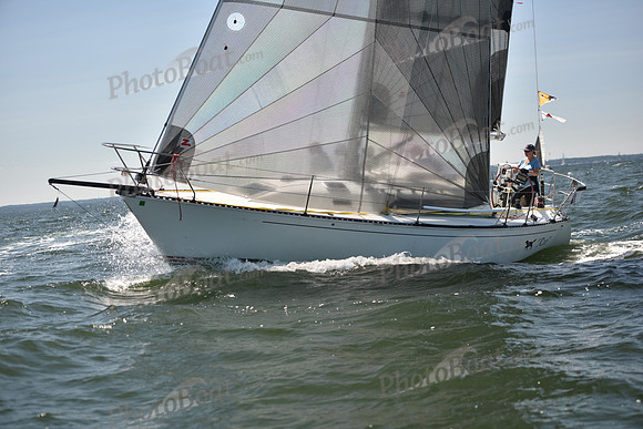 2023 Vineyard Race A_0139