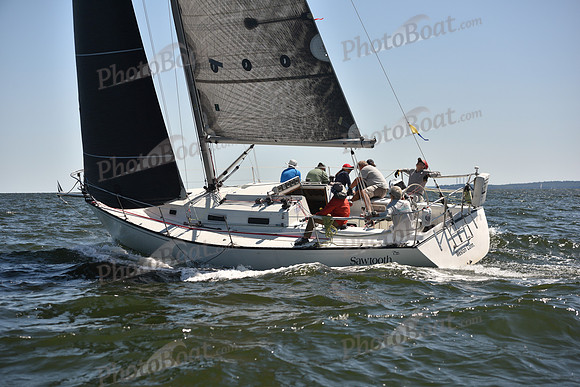2023 Vineyard Race A_0846