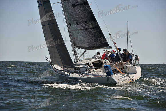2023 Vineyard Race A_0098