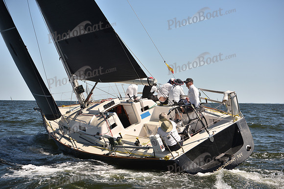 2023 Vineyard Race A_1253