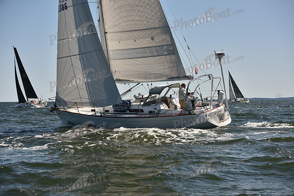 2023 Vineyard Race A_0508