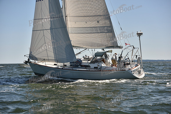 2023 Vineyard Race A_0507