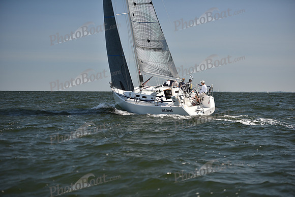2023 Vineyard Race A_0962