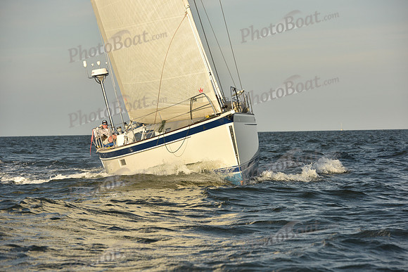 2023 Vineyard Race B_1594