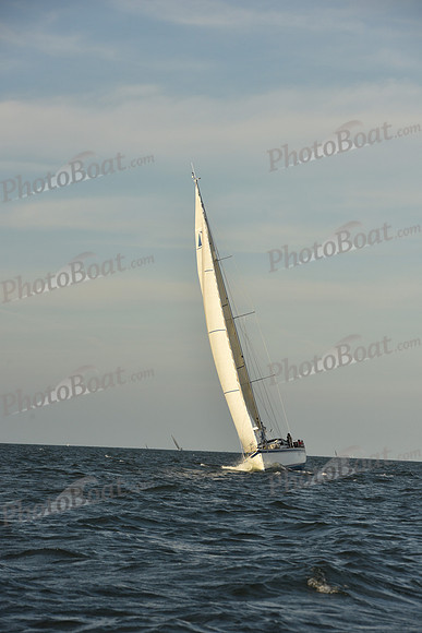 2023 Vineyard Race B_1584