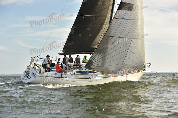 2023 Vineyard Race B_1388