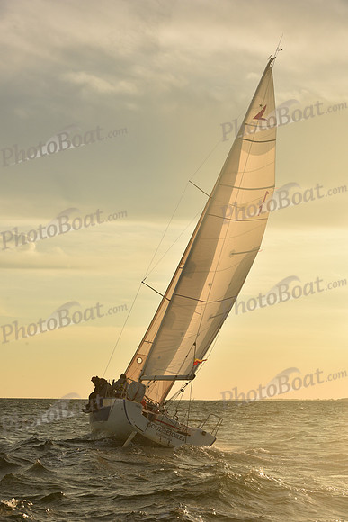 2023 Vineyard Race B_1859