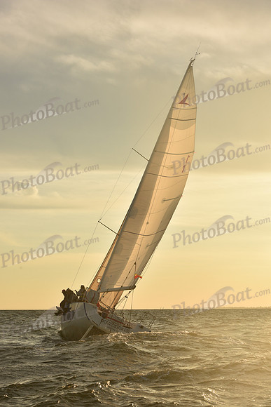2023 Vineyard Race B_1860