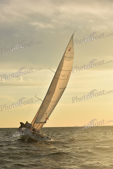 2023 Vineyard Race B_1862