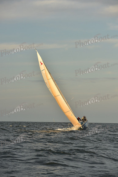 2023 Vineyard Race B_1839