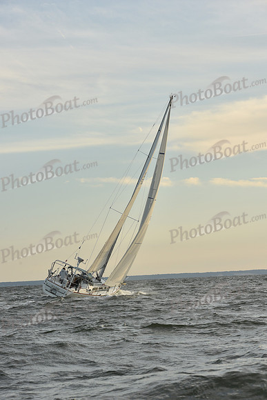 2023 Vineyard Race B_1652