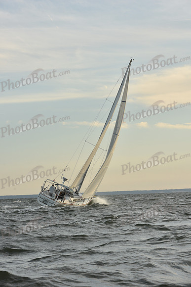2023 Vineyard Race B_1651
