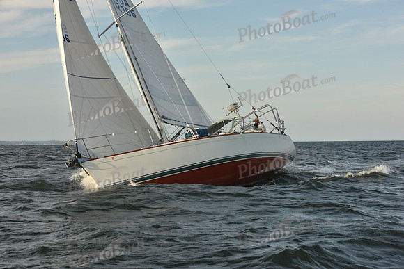 2023 Vineyard Race B_1634