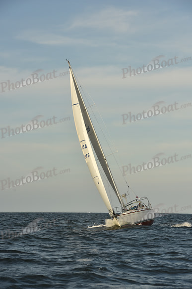 2023 Vineyard Race B_1626