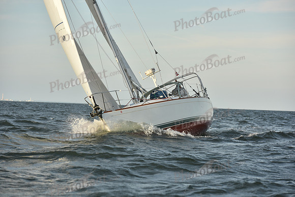 2023 Vineyard Race B_1632