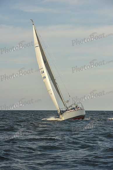 2023 Vineyard Race B_1627