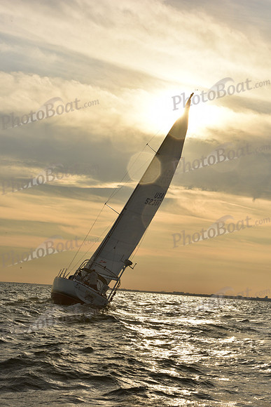 2023 Vineyard Race B_1638