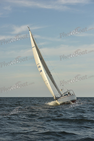 2023 Vineyard Race B_1628