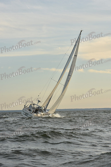 2023 Vineyard Race B_1649