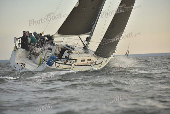 2023 Vineyard Race B_1718