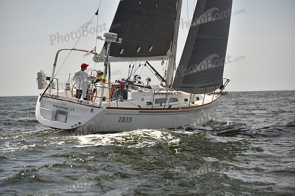 2023 Vineyard Race B_0073