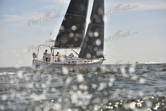 2023 Vineyard Race B_0051