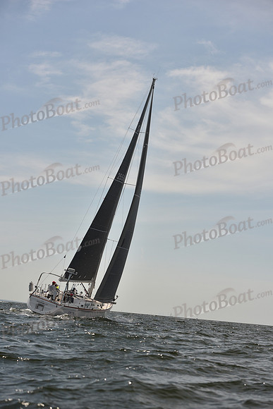 2023 Vineyard Race B_0057