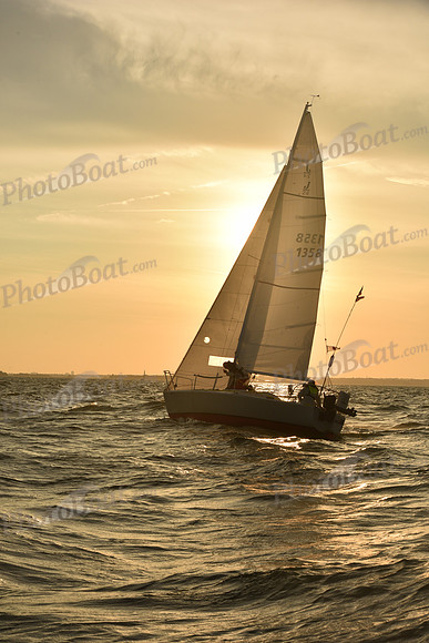 2023 Vineyard Race B_1901