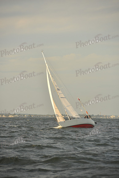 2023 Vineyard Race B_1884