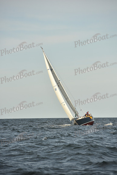 2023 Vineyard Race B_1426