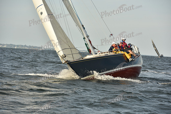 2023 Vineyard Race B_1432