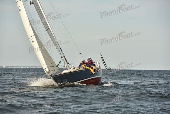 2023 Vineyard Race B_1430