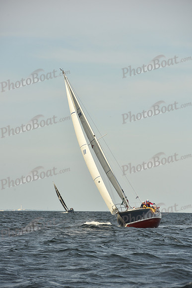 2023 Vineyard Race B_1428