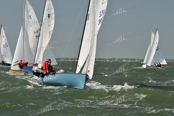 2012 Thistle Midwinters B 590